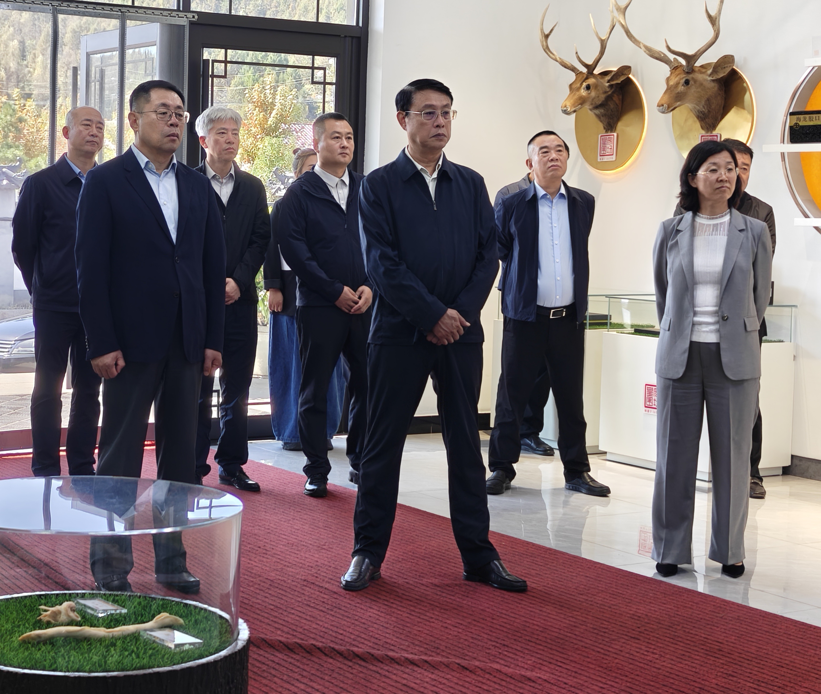 博彩导航主要负责同志到铁岭调研督导特色中药材产业规范化建设